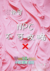 NPC���ɹ���