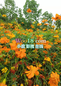 �һ������ۣ��߸� NP��