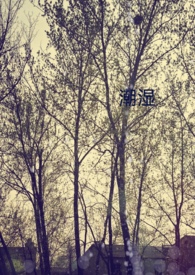 ��ʪgl�����٣�