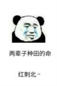 �ھ�ũѧ����