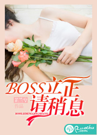 BOSS��������Ϣ