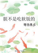 �޲��ǳ�������