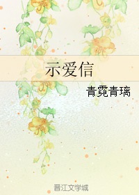 ʾ����