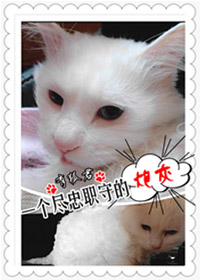 һ������ְ�ص��ڻ�