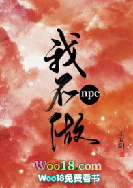 �Ҳ���npc