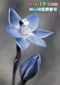 �������y�衿��֮�A