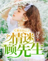 �鲻�ɼ������Թ�����
