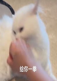������1v1��