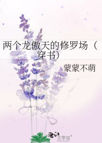 ��������������޳������飩