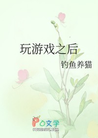 ����Ϸ֮��