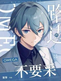 ·�ߵ�omega��Ҫ��